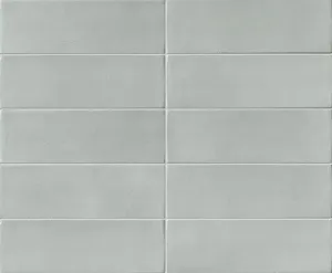 Skin Anole 2x6 Brick Matte