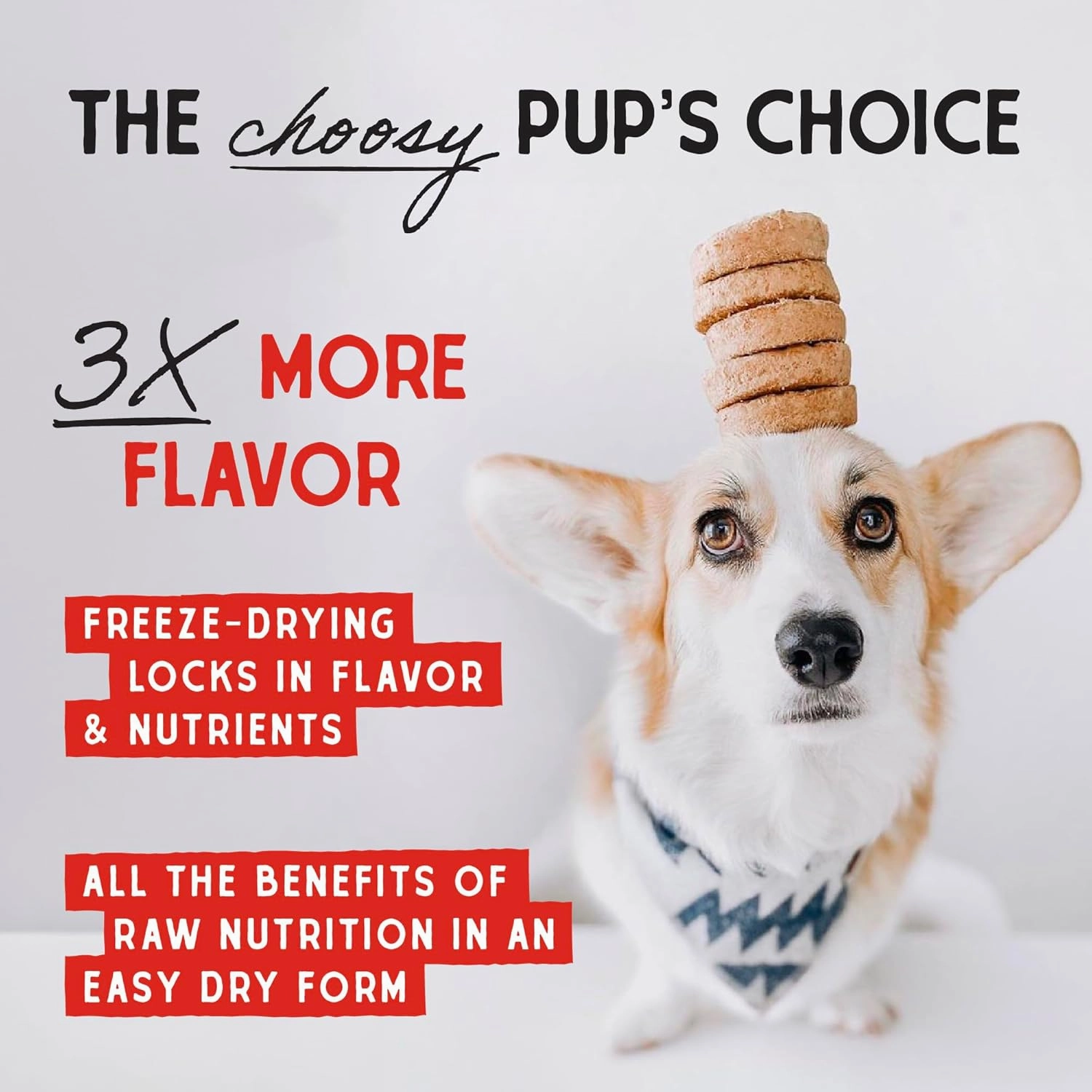 Stella & Chewy's Freeze-Dried Raw Dinner Patties - Beef Recipe - High Protein Grain-Free Puppy & Dog Food - Perfect For Picky Eaters - 14 oz