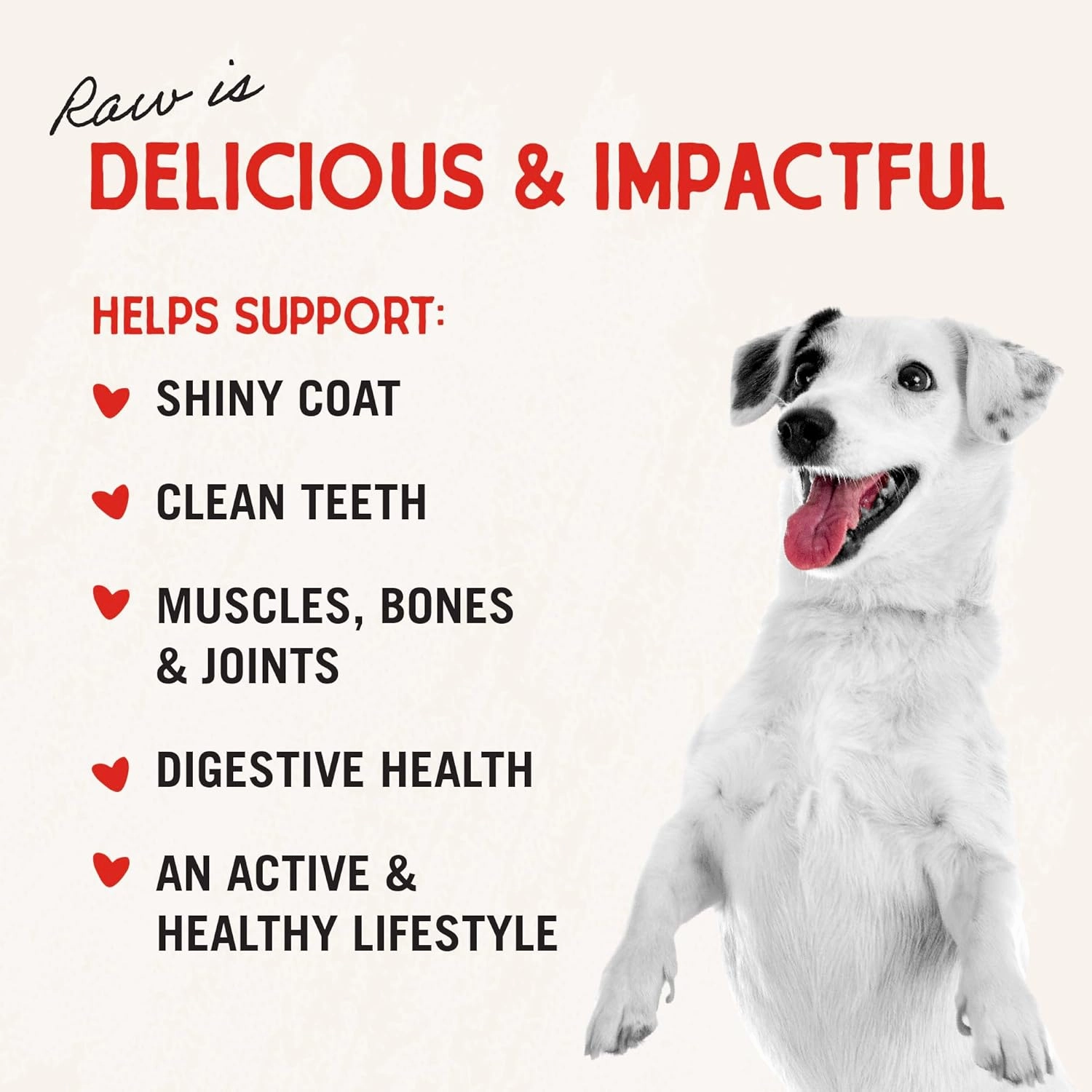 Stella & Chewy's Freeze-Dried Raw Dinner Patties - Beef Recipe - High Protein Grain-Free Puppy & Dog Food - Perfect For Picky Eaters - 14 oz