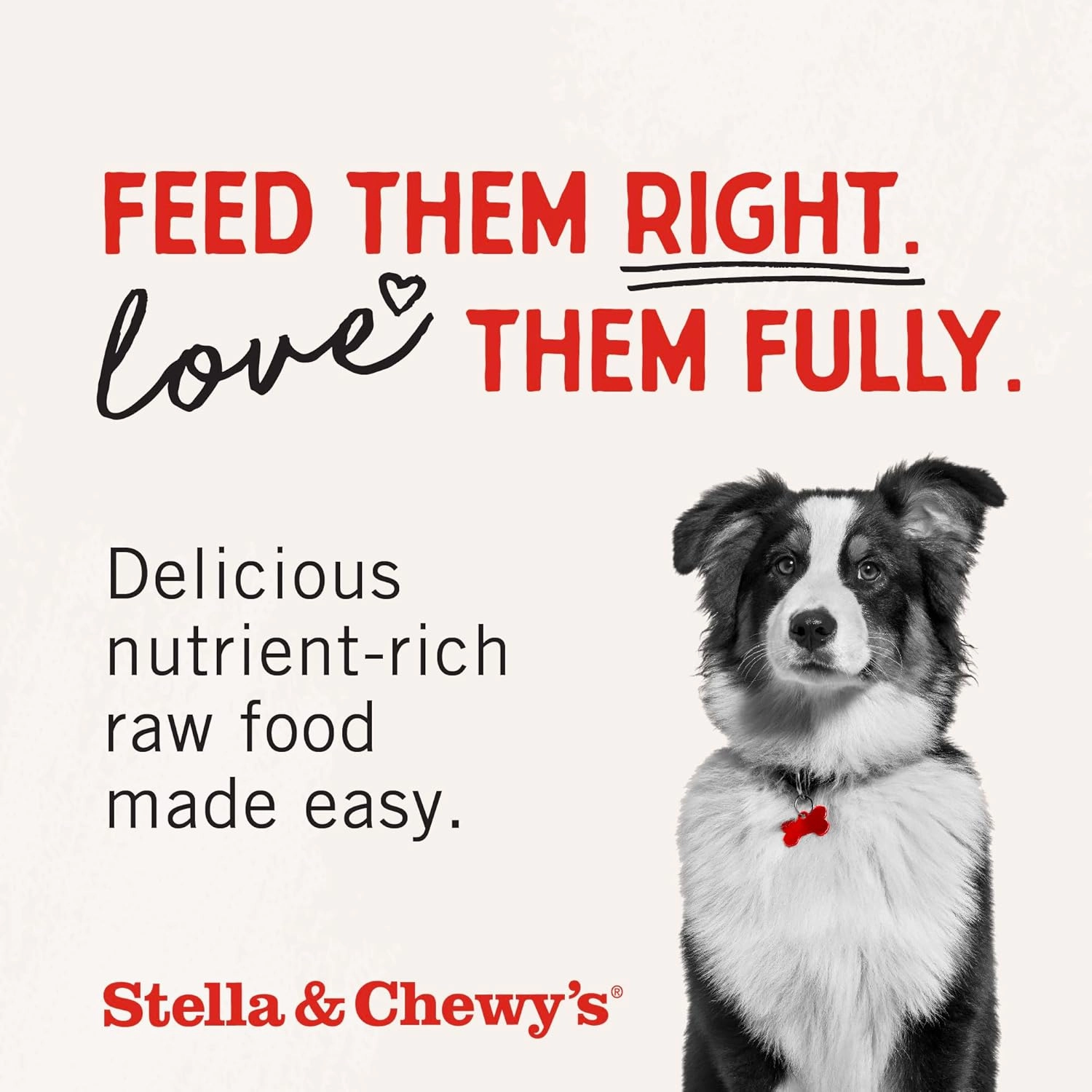Stella & Chewy's Freeze-Dried Raw Dinner Patties - Beef Recipe - High Protein Grain-Free Puppy & Dog Food - Perfect For Picky Eaters - 14 oz