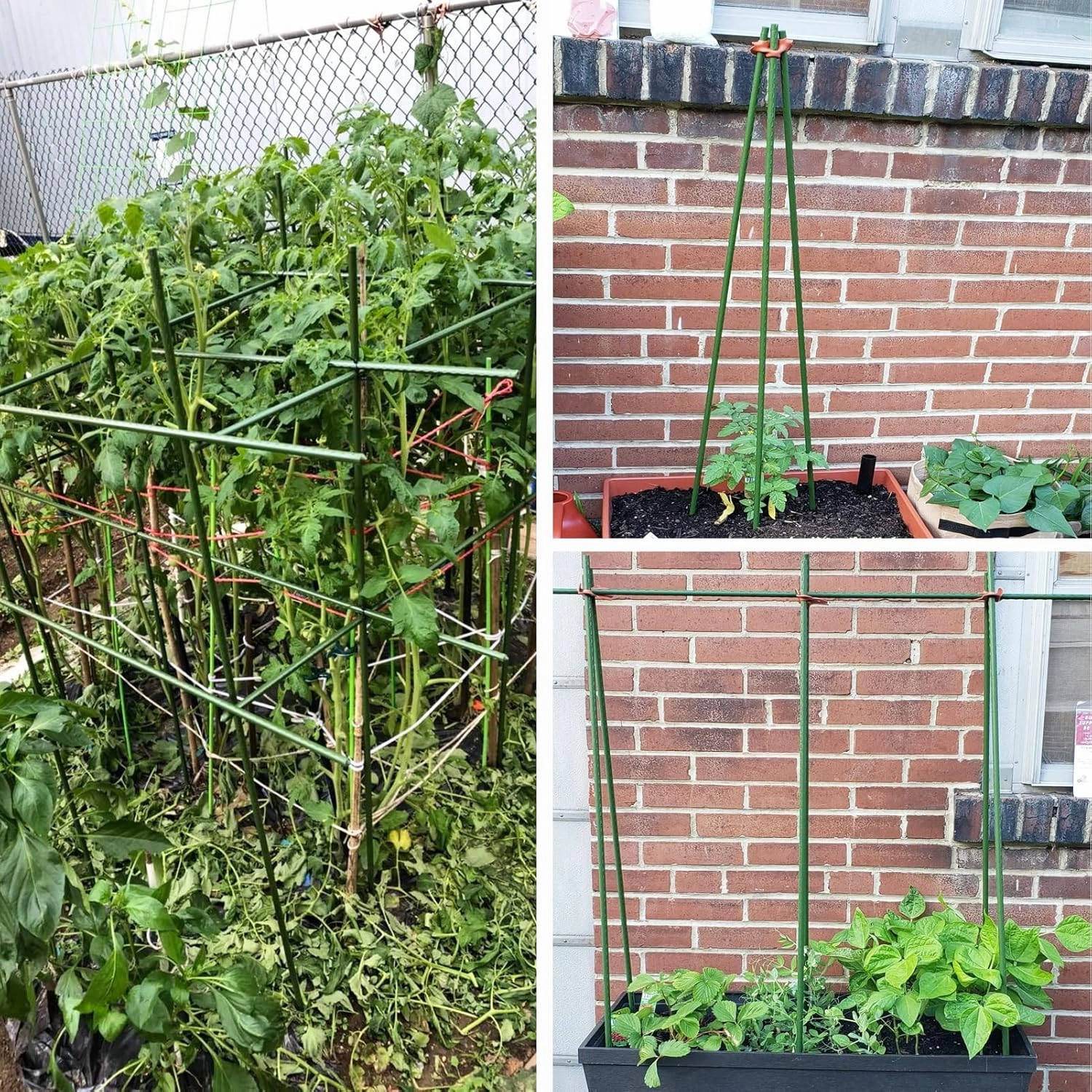 Sturdy Metal Garden Stakes 5 Ft Plastic Coated Steel Plant Sticks for Tomatoes,Trees,Cucumber,Fences,Beans,Pack of 25