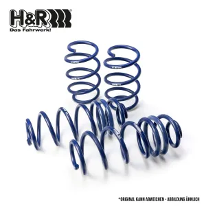 Suspension Set, springs Performance Lowering Springs