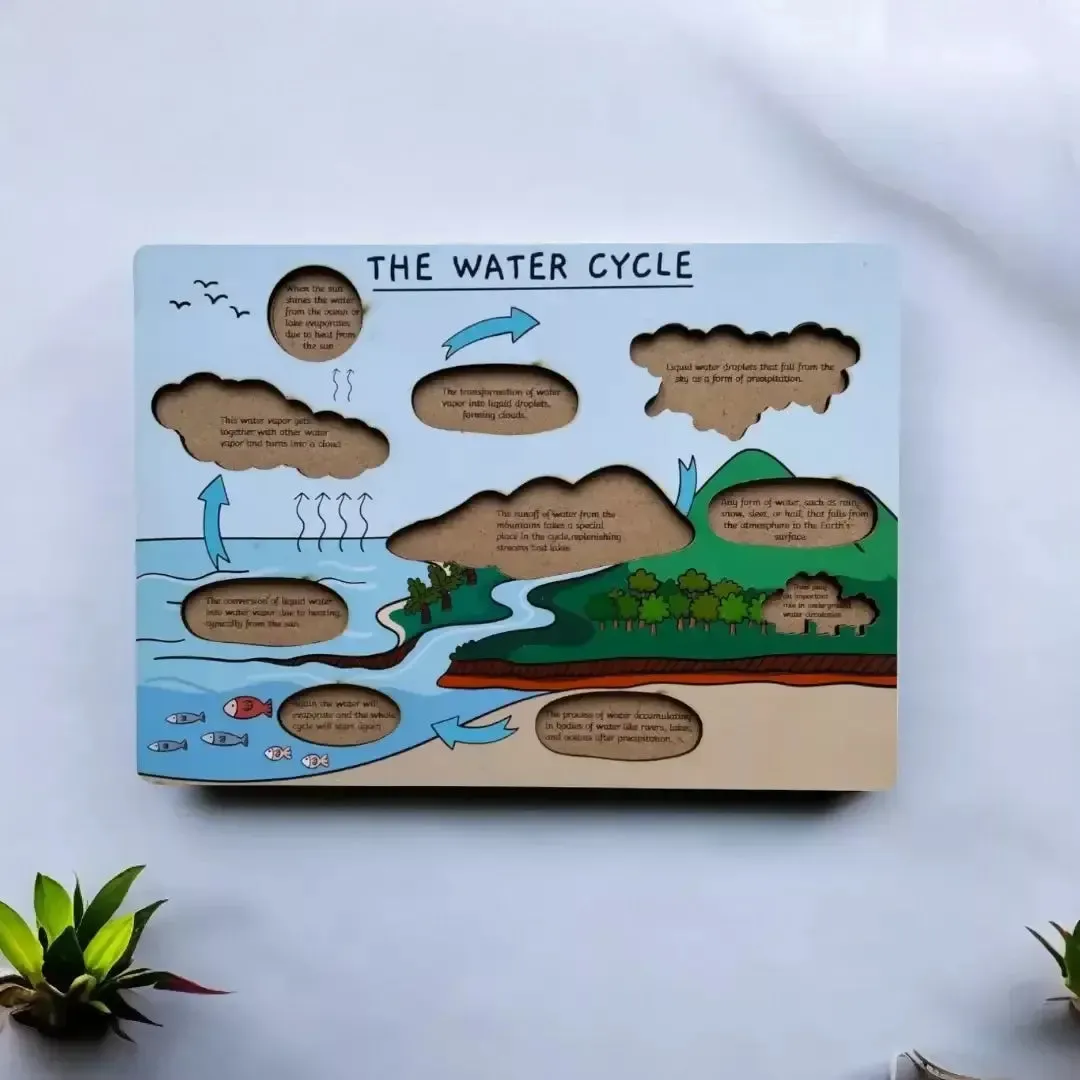 The Water Cycle