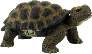 Tortoise Action Figure