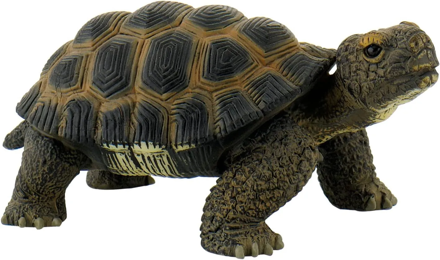 Tortoise Action Figure