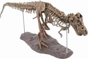 Toysvill Archaeological Big Fossil Dinosaur Skeleton, DIY, 3D Puzzle 60 pcs [Realistic Tyrannosaurus Rex Model]