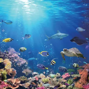 Under the Sea Coral Reef 500 Piece Jigsaw Puzzle For Adults And Kids | Interactive Brain Teaser Board, Educational Toys & Games for Home, Indoor Activities, Building Kit Sorting Toys for Creative Play