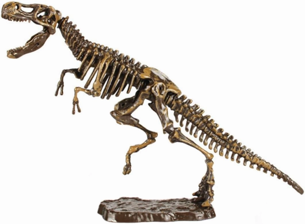 VICASKY 1set Excavation Dinosaur Toys for Boys and Girls Creative Early Educational Digging Kit for Hands Learning and Coordination Skills