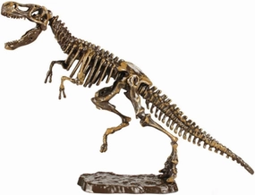 YARNOW 3D Dinosaur Skeleton DIY Excavation Kit Dinosaur Toys for Boys and Girls Educational Decor